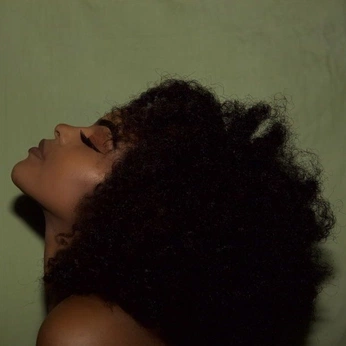 A cover of "DKC/SD" cluster. The owner is cornsilkgothic. The cluster consists of 345 elements.