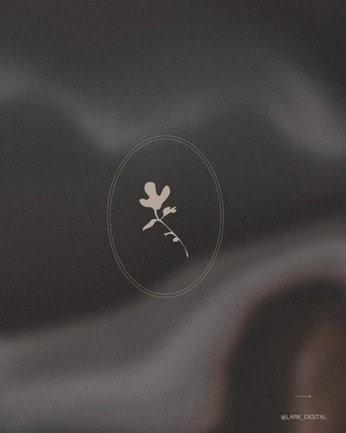 A cover of "Graphic insp" cluster. The owner is cings. The cluster consists of 100 elements.