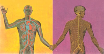 A cover of "Articles & Analysis" cluster. The owner is marcow. The cluster consists of 1 element.