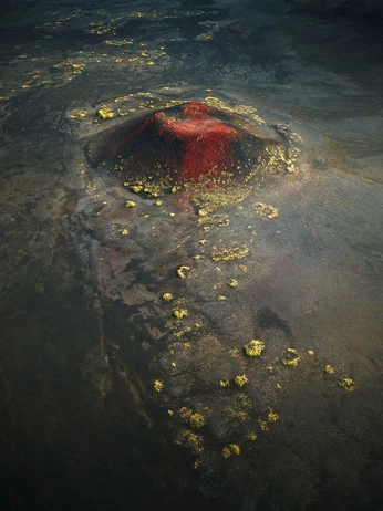 A cover of "COLOR" cluster. The owner is florianzzzzz. The cluster consists of 3 elements.