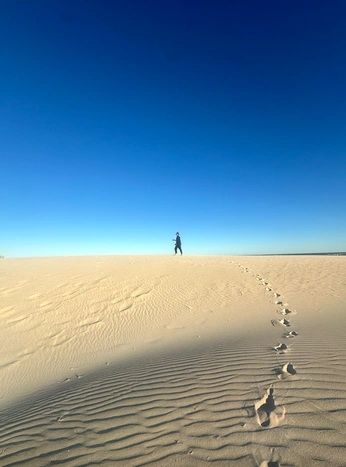 A cover of "Plan" cluster. The owner is nik02. The cluster consists of 6 elements.