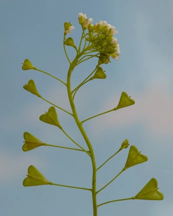 A cover of "NEW BEGINNINGS" cluster. The owner is gaeezsothystudio. The cluster consists of 23 elements.