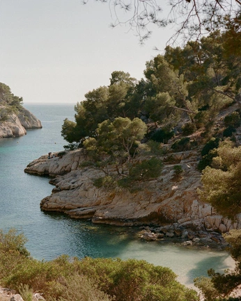 A cover of "paysage" cluster. The owner is bmchl. The cluster consists of 3 elements.