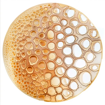 A cover of "bookshelf" cluster. The owner is emilyinparis. The cluster consists of 41 elements.