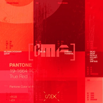 A cover of "[CMF]" cluster. The owner is 6. The cluster consists of 424 elements.