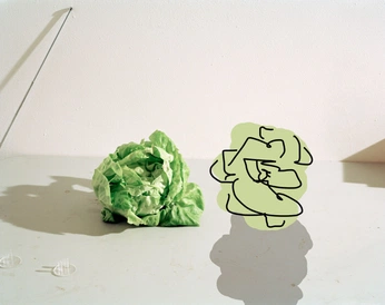 A cover of "nourriture" cluster. The owner is marjanesoulhol. The cluster consists of 5 elements.