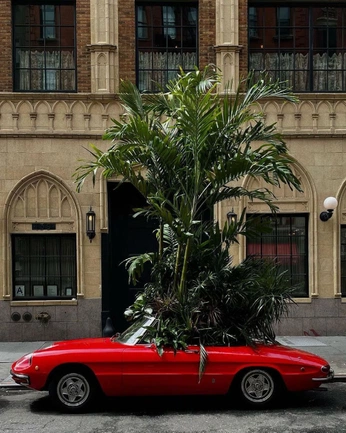 A cover of "005. Red" cluster. The owner is visuallyenlightn. The cluster consists of 6 elements.