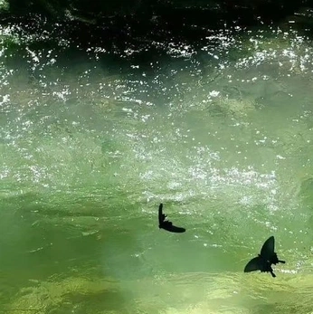 A cover of "metamorphosis" cluster. The owner is angelinaa. The cluster consists of 31 elements.