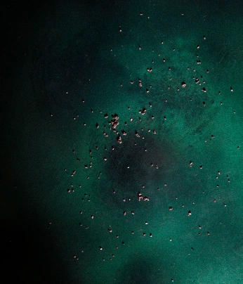 A cover of "abstraction is easier" cluster. The owner is sarveshsea. The cluster consists of 10 elements.