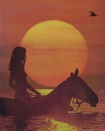 A cover of "CAMARGUE" cluster. The owner is c.bclt. The cluster consists of 67 elements.