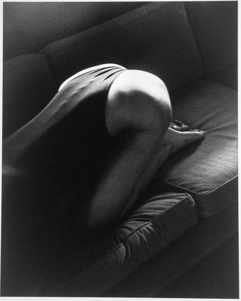 A cover of "FEEL" cluster. The owner is ilaydavelioglu. The cluster consists of 36 elements.