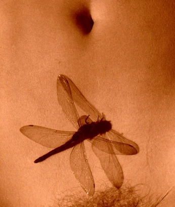 A cover of "B&ig&" cluster. The owner is manonadl. The cluster consists of 3 elements.