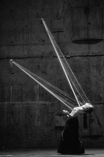 A cover of "ALL WRAPPED UP" cluster. The owner is tylomay. The cluster consists of 12 elements.