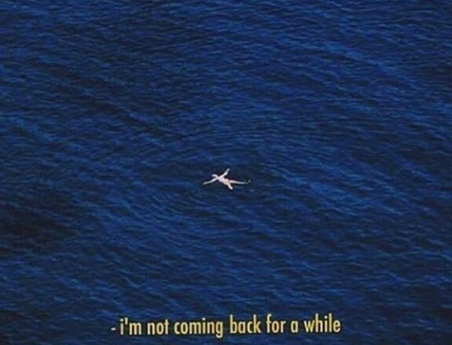 An image uploaded by colindancel on Oct 03, 2022. May present: water, wing, i m not coming back for a while.