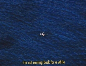 A cover of "lost" cluster. The owner is felicityporter. The cluster consists of 82 elements.