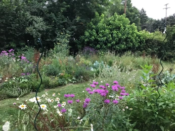 A cover of "Permaculture" cluster. The owner is oxalisgardenspdx. The cluster consists of 5 elements.