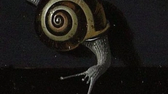 A cover of "Polarity" cluster. The owner is lunamoth505. The cluster consists of 10 elements.