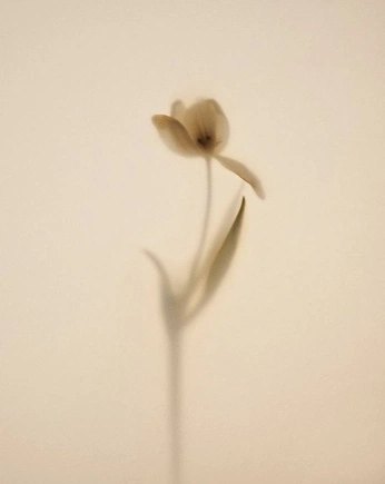 A cover of "khiva" cluster. The owner is khiva. The cluster consists of 7 elements.