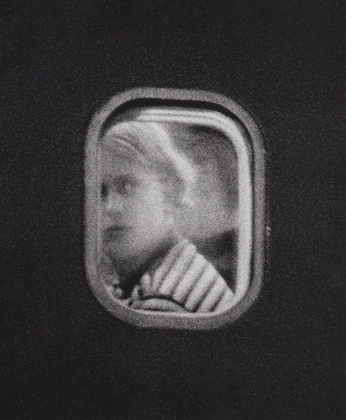 A cover of "Aspirational Flight" cluster. The owner is zt.creeks. The cluster consists of 185 elements.