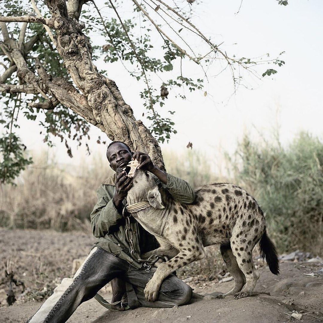 An Instagram  post added on Jul 02, 2024. The author is @blackstarops. May present: hyena and other men, pieter hugo, the hyena & other men, hyenas, plant.