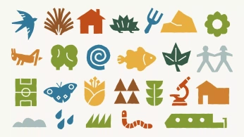 A cover of "DESING" cluster. The owner is monaskam. The cluster consists of 8 elements.