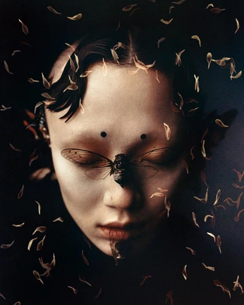 A cover of "edit" cluster. The owner is victoria2005. The cluster consists of 3 elements.