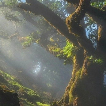 A cover of "mystical" cluster. The owner is aidaaasc. The cluster consists of 7 elements.