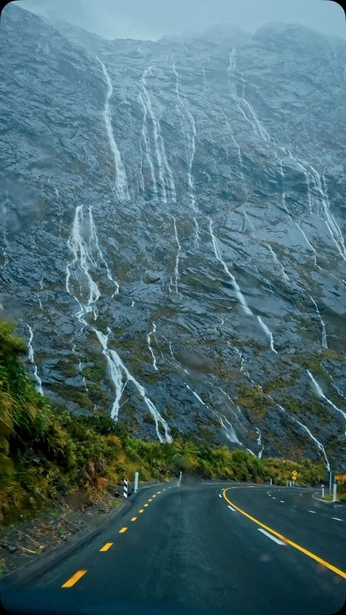 A cover of "New Zealand" cluster. The owner is wallbridge. The cluster consists of 1 element.