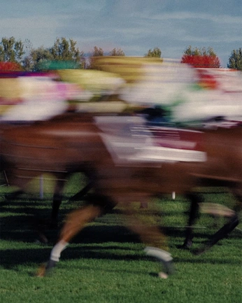 A cover of "PINGO" cluster. The owner is cayetano. The cluster consists of 20 elements.