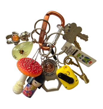 A cover of "los accesorios" cluster. The owner is myrightpinky. The cluster consists of 10 elements.