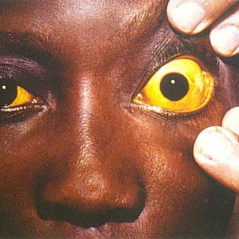 A cover of "CharacterDesign" cluster. The owner is werybop. The cluster consists of 197 elements.