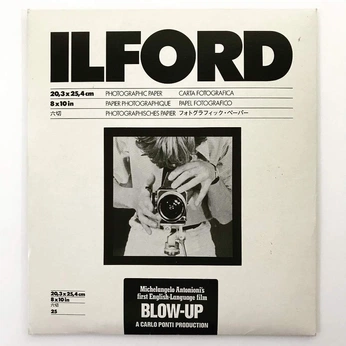 A cover of "Layout" cluster. The owner is emmacrimaldi. The cluster consists of 50 elements.