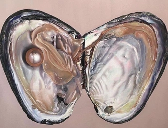 A cover of "oyster" cluster. The owner is blindspots. The cluster consists of 10 elements.