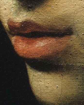 A cover of "ArteenRed" cluster. The owner is lalo45. The cluster consists of 6 elements.