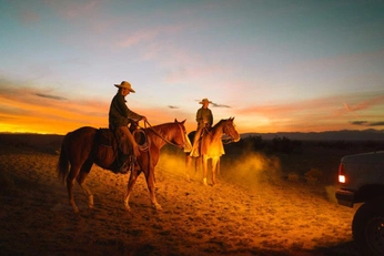 A cover of "Ranch" cluster. The owner is maximoz. The cluster consists of 29 elements.