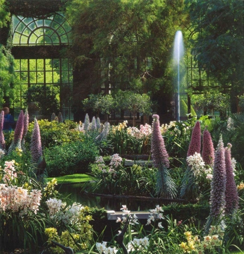 A cover of "Nature" cluster. The owner is sixtine2308. The cluster consists of 4 elements.