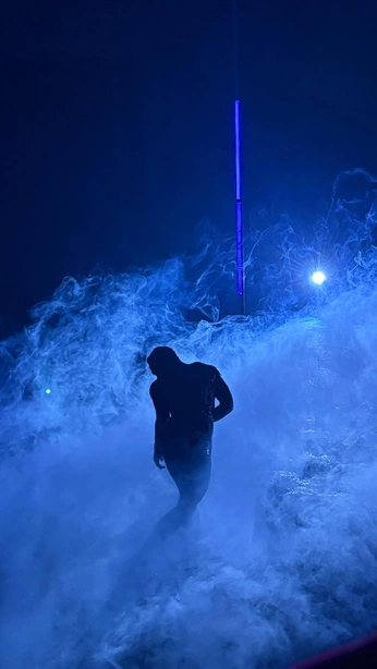 A cover of "Performance" cluster. The owner is giannagabriela. The cluster consists of 2 elements.