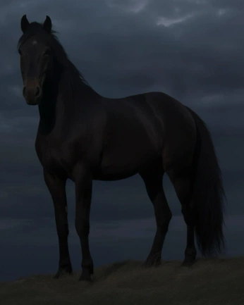 A cover of "Nora" cluster. The owner is palmhearts. The cluster consists of 6 elements.