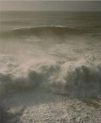 A cover of "oceanic" cluster. The owner is nixkelodeon. The cluster consists of 20 elements.