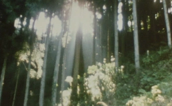 A cover of "Cinematic" cluster. The owner is levijacobprice. The cluster consists of 21 elements.