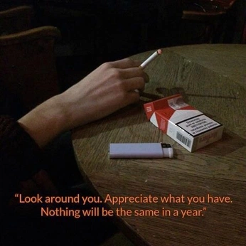 A cover of "Q" cluster. The owner is lily911.2007. The cluster consists of 1 element.