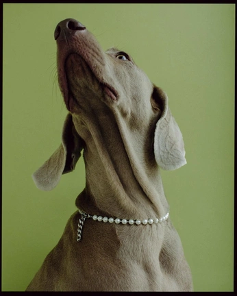 A cover of "Bestie" cluster. The owner is mariacardenas. The cluster consists of 6 elements.