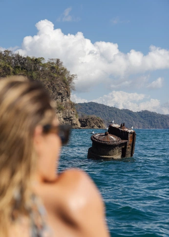 A cover of "MANAKIN TOURS" cluster. The owner is thomasagoglia. The cluster consists of 28 elements.