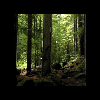 A cover of "VFX" cluster. The owner is danielavogel. The cluster consists of 2 elements.