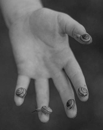 A cover of "Black & White" cluster. The owner is laleli. The cluster consists of 3 elements.