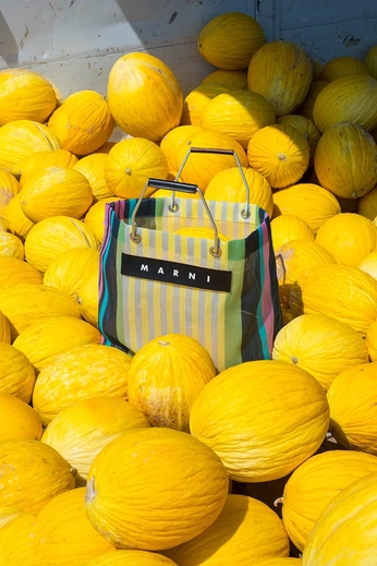 A cover of "Cluoh" cluster. The owner is tiagomlopes. The cluster consists of 11 elements.