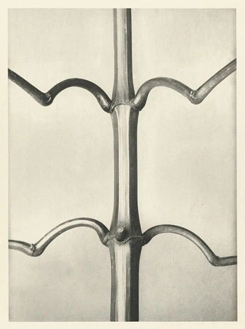 A cover of "bbfis" cluster. The owner is alexdecorso. The cluster consists of 21 elements.