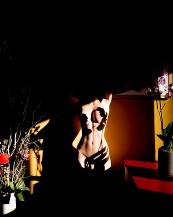 A cover of "Nude" cluster. The owner is nayagalactica888. The cluster consists of 7 elements.