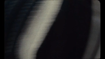 A cover of "videography inspo" cluster. The owner is jacksonridley. The cluster consists of 19 elements.