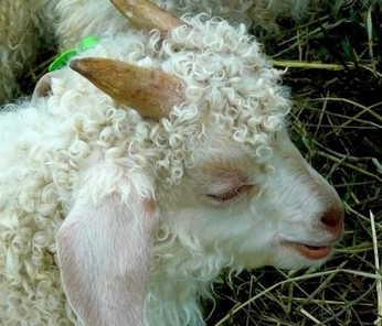 A cover of "mix bin" cluster. The owner is illie. The cluster consists of 1 element.